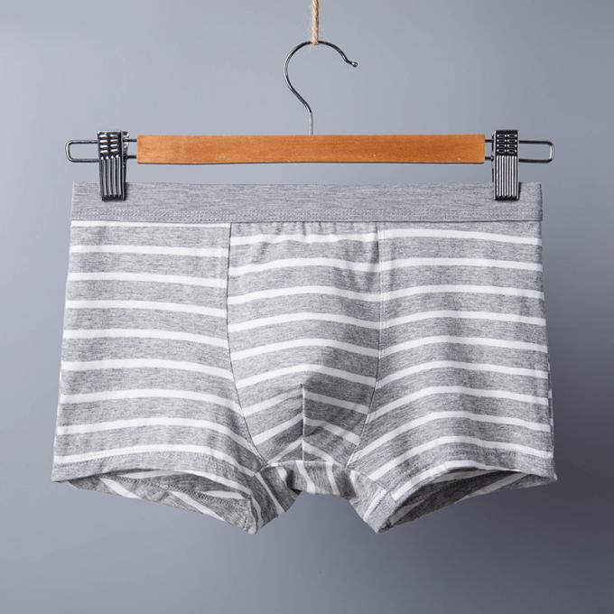 XXXL 165kg 95kg তুলা পুরুষদের অন্তর্বাস সেক্সি খাঁটি সুতির সংক্ষিপ্ত প্রাপ্তবয়স্ক স্ট্রাইপ খেলাধুলা 5