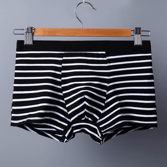 XXXL 165kg 95kg তুলা পুরুষদের অন্তর্বাস সেক্সি খাঁটি সুতির সংক্ষিপ্ত প্রাপ্তবয়স্ক স্ট্রাইপ খেলাধুলা 6