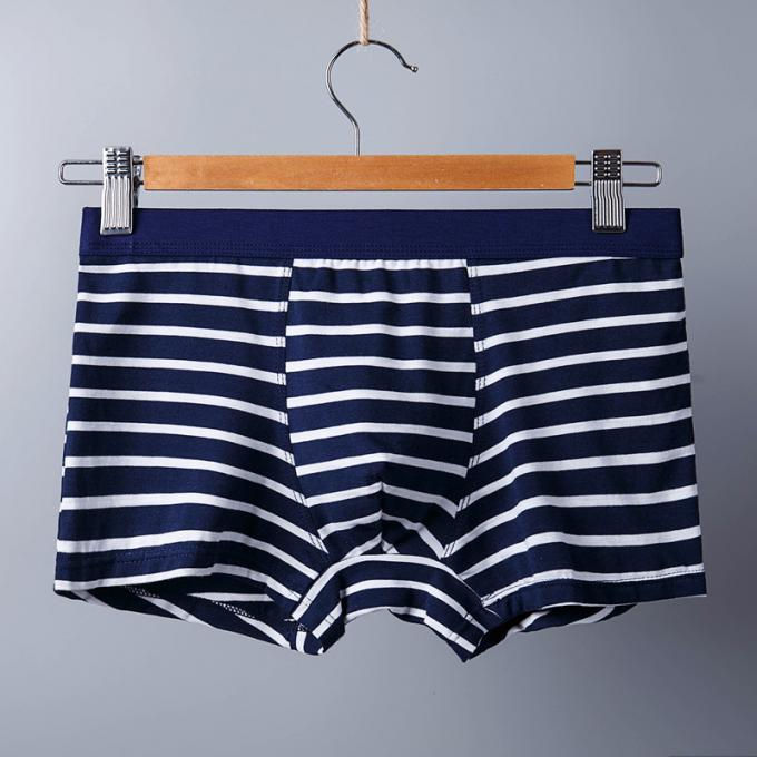 XXXL 165kg 95kg তুলা পুরুষদের অন্তর্বাস সেক্সি খাঁটি সুতির সংক্ষিপ্ত প্রাপ্তবয়স্ক স্ট্রাইপ খেলাধুলা 4