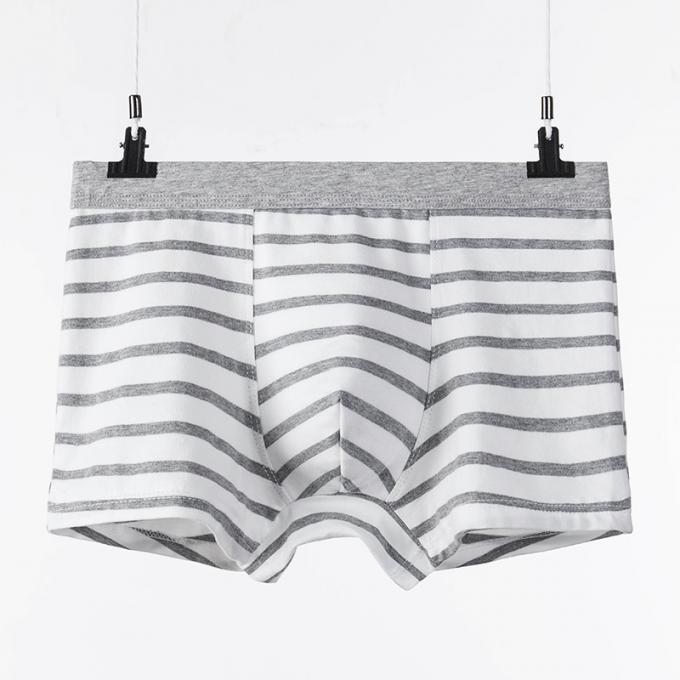 XXXL 165kg 95kg তুলা পুরুষদের অন্তর্বাস সেক্সি খাঁটি সুতির সংক্ষিপ্ত প্রাপ্তবয়স্ক স্ট্রাইপ খেলাধুলা 8